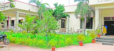 ఆ ఆస్పత్రి హరిత వనం
