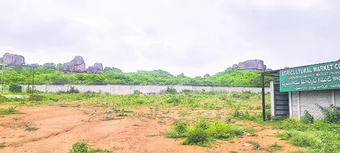 చిరుతల కోసం అన్వేషణ