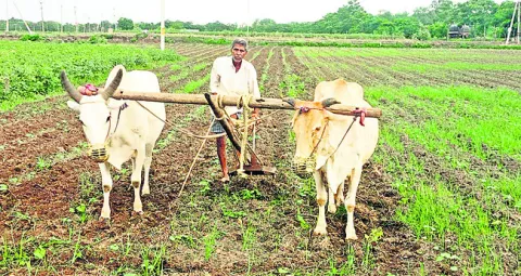 భరోసా