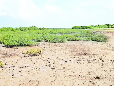 రక్షణ.. ఆమడదూరం
