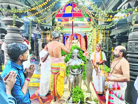 అప్పన్నకు విశేషంగా ఆర్జిత సేవలు 