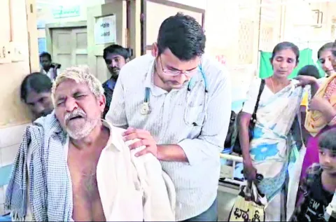 చెట్ట
