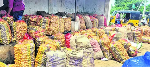 పడిపోయిన నిమ్మ ధర 