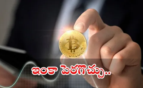 Bitcoin Hits Record High of USD 120000 may rise more says Giottus CEO