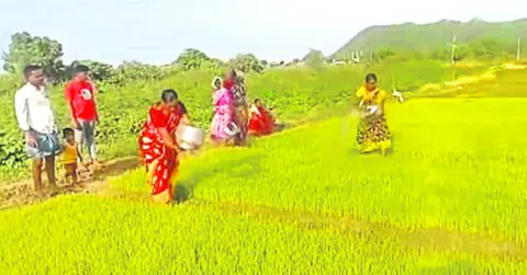 ఎండుత