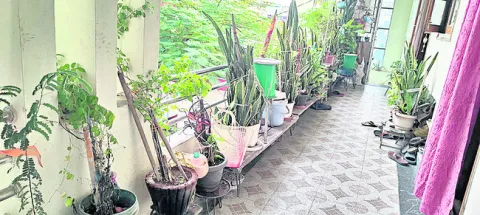 ఆ దంప