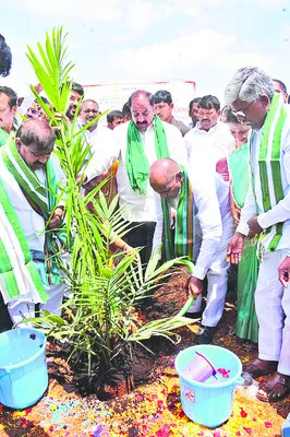 ఆయిల్‌ పామ్‌ సాగు మేలు 