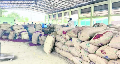మిర్చి ధర ముందడుగు..