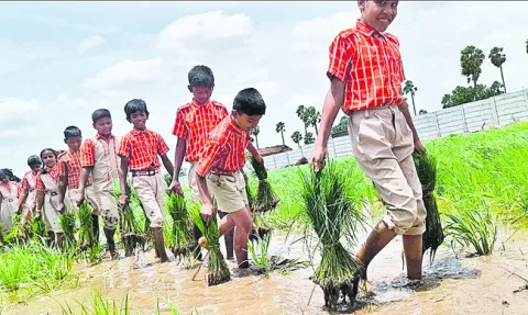 విద్యార్థుల ‘పొలం బాట’