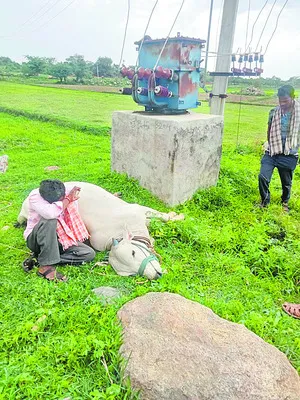 పశుపో