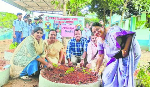 ఔషధ మొక్కలకు భారతదేశం పుట్టినిల్లు 