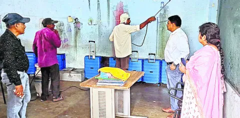 విస్త