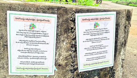 మావోయ