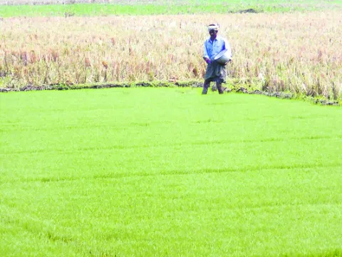ఖరీఫ్‌కు నీటి కష్టం