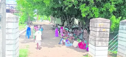 విద్య