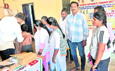 వైఎస్