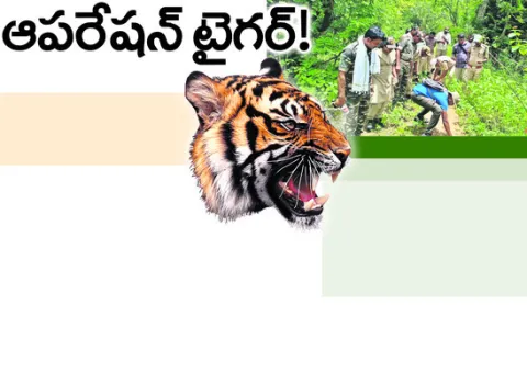 ● ఎస్