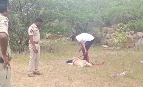 Girl Dies Under Suspicious Circumstances In Gandikota