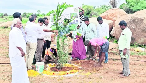 ఆయిల్‌పాం సాగుపై అవగాహన కల్పించాలి 