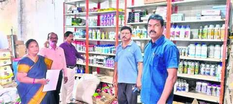 సరైన 