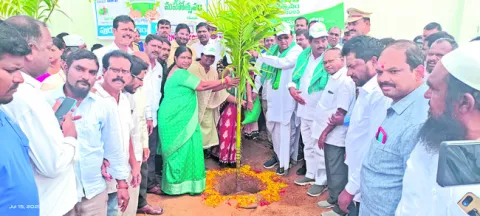 చెట్లే మానవాళికి జీవనాధారం