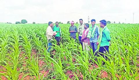 ● మాన