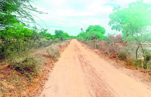రిజర్వు ఫారెస్టులో రోడ్డు వేసి అక్రమ రవాణా