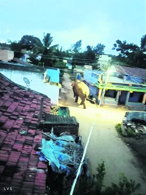 ద్రోణ