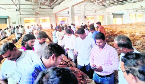 రూ.359కి చేరిన వర్జీనియా ధర 
