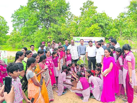 మొక్కలు నాటి సంరక్షించాలి
