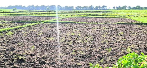 కరుణి