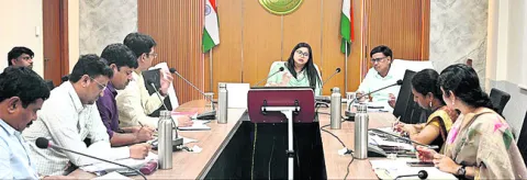 డీ–1 పట్టాలపై సర్వే చేయాలి 