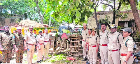 అటవీ భూమి ఆక్రమణ 
