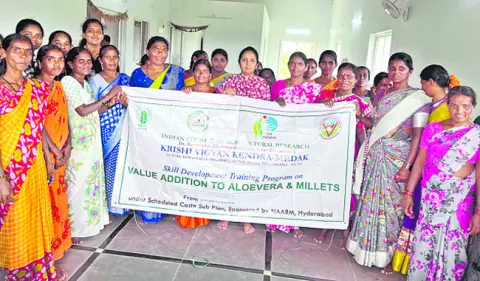 అలోవెరా సాగుతో అధిక ఆదాయం 