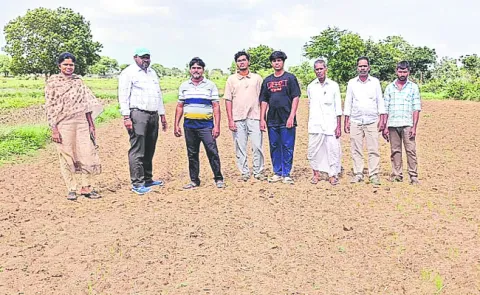 డీఎస్