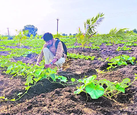 వరుస 
