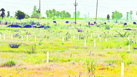 అగ్రిమెంట్లు!