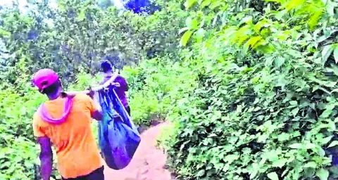 మంత్రి ఇలాకాలో ఆగని డోలీమోతలు 
