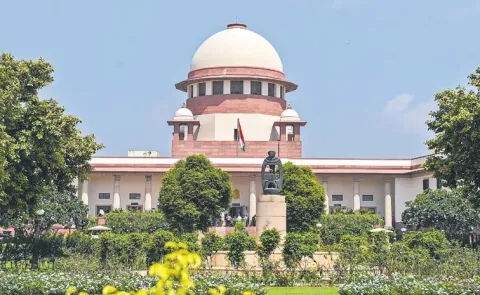 Why dont you feed them in your house: SC asks petitioner over feeding stray dogs