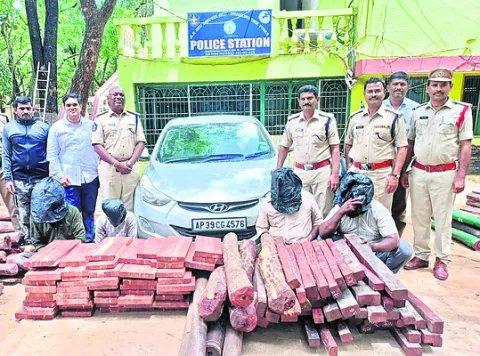 ఎర్రచందనం దుంగల స్వాధీనం 