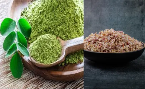 Sagubadi how to make onion flakes and Organic Moringa Powder