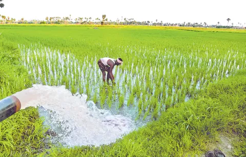 Deadline for weather crop insurance in the current Kharif season has expired