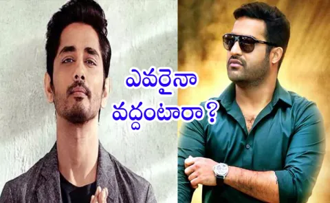Kollywood Hero Siddharth Responds On Cameo Role In Jr Ntr Baadshah Movie10