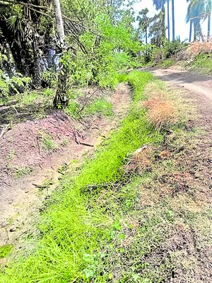 ఆశలు 