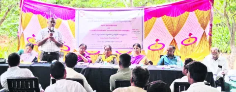 అటవీ వ్యవసాయం విస్తరించాలి