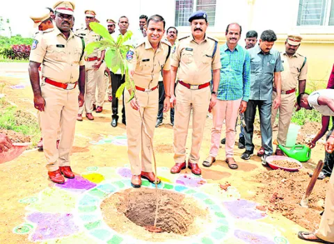 మొక్కలు, చెట్లే ప్రకృతికి అందం