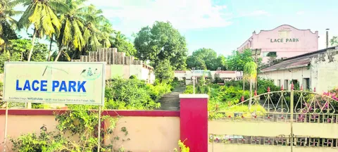 లేసు.