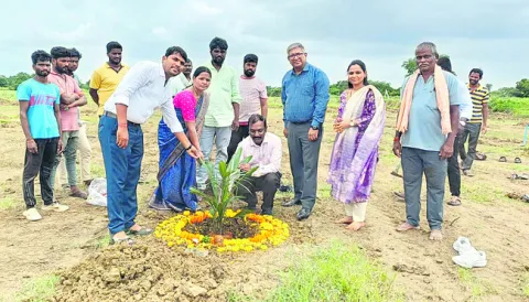 ఆయిల్‌పామ్‌ సాగుతో అధిక లాభాలు