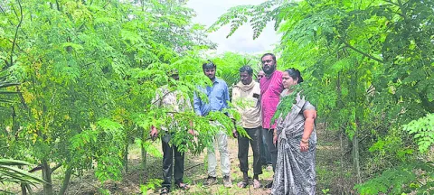 ఎరువులు అధికంగా వాడొద్దు