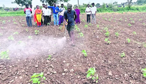 ద్రవం